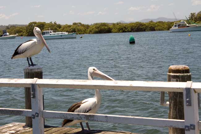slideshow image